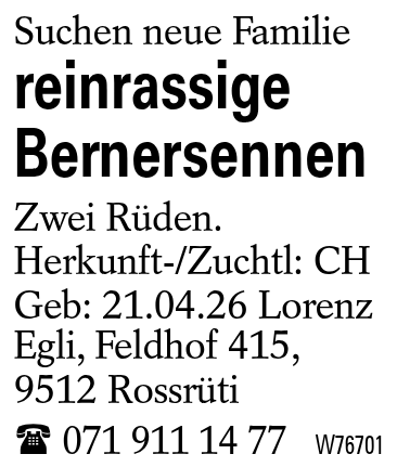 reinrassige Bernersennen