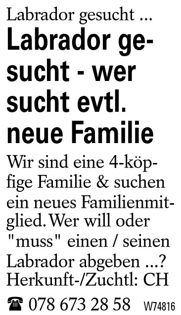 Labrador gesucht - wer sucht evtl. neue Familie