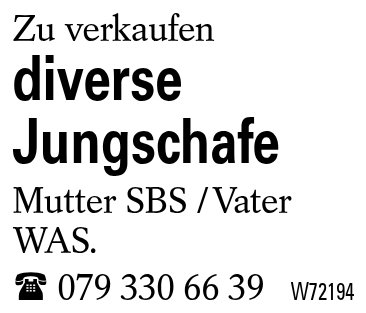 diverse Jungschafe