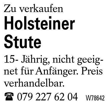 Holsteiner Stute