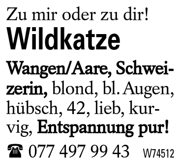 Wildkatze