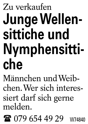 Junge Wellensittiche und Nymphensittiche
