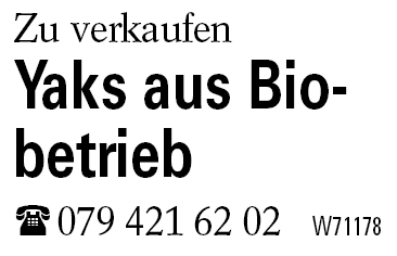 Yaks aus Biobetrieb