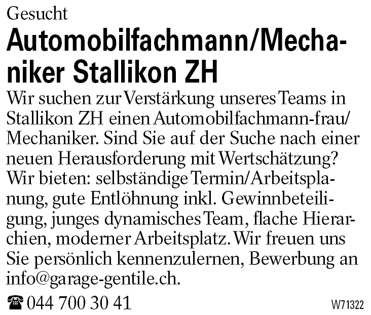 Automobilfachmann/Mechaniker Stallikon ZH