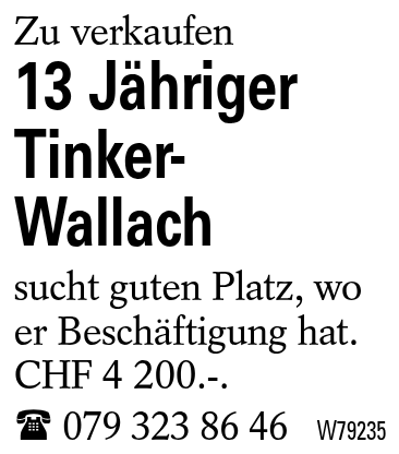 13 Jähriger Tinker-Wallach