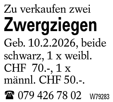 Zwergziegen