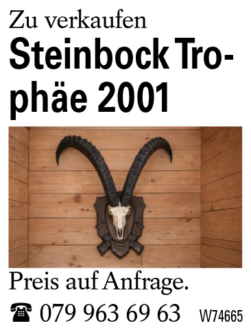 Steinbock Trophäe 2001