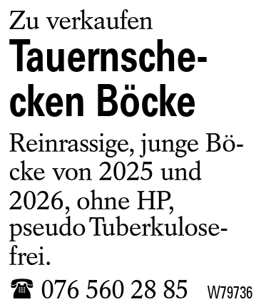 Tauernschecken Böcke