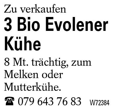 3 Bio Evolener Kühe