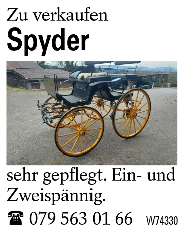 Spyder