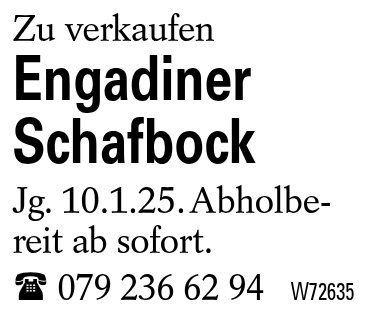 Engadiner Schafbock