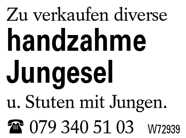 handzahme Jungesel