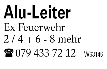 Alu-Leiter