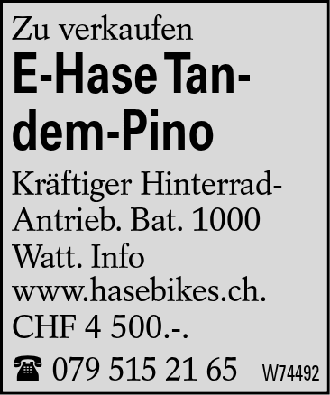 E-Hase Tandem-Pino