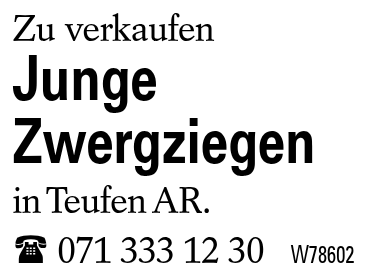 Junge  Zwergziegen