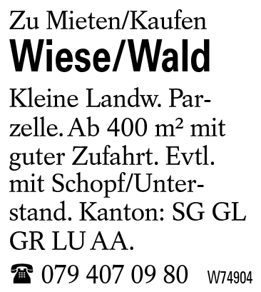 Wiese/Wald
