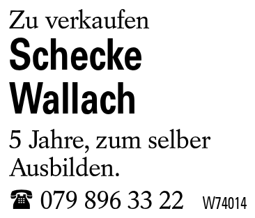 Schecke Wallach