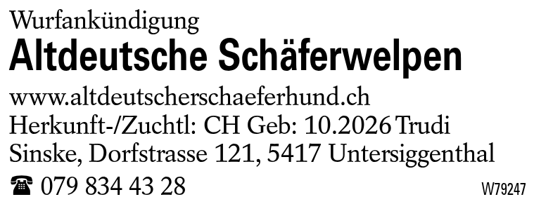 Altdeutsche Schäferwelpen