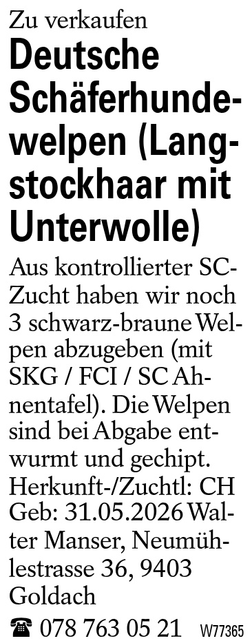 Deutsche Schäferhundewelpen (Langstockhaar mit Unterwolle)
