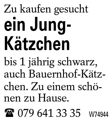 ein Jung-Kätzchen