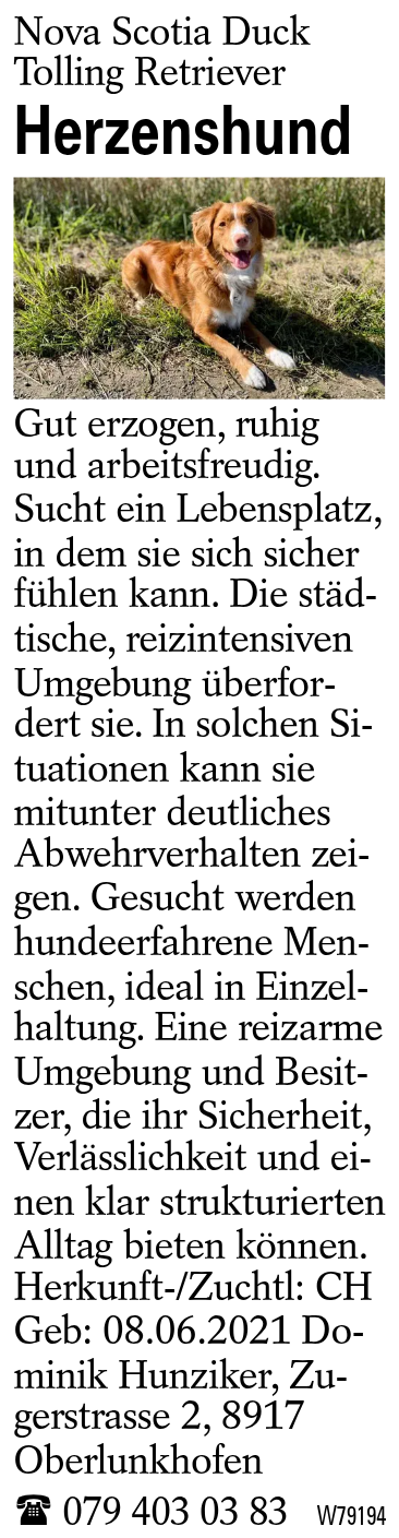 Herzenshund