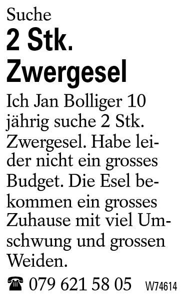 2 Stk. Zwergesel