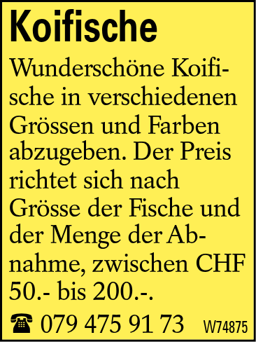 Koifische