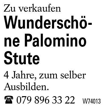 Wunderschö-ne Palomino Stute