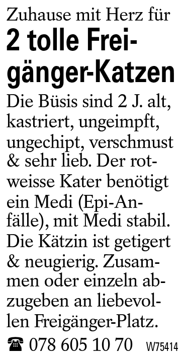 2 tolle Freigänger-Katzen