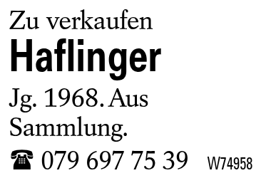Haflinger