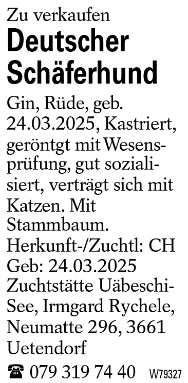 Deutscher Schäferhund