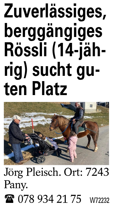 Zuverlässiges, berggängiges Rössli (14-jährig) sucht guten Platz