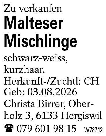 Malteser Mischlinge
