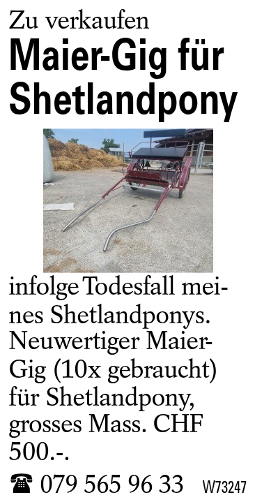 Maier-Gig für Shetlandpony