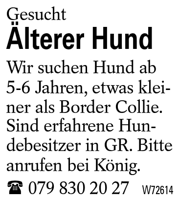 Älterer Hund
