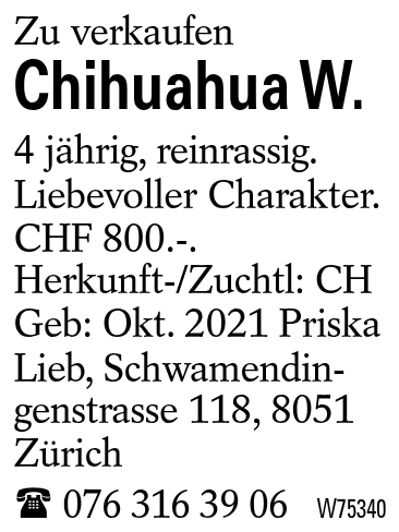 Chihuahua W.
