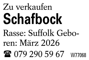 Schafbock