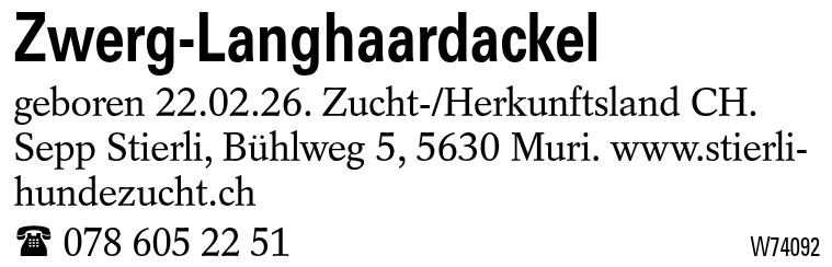 Zwerg-Langhaardackel