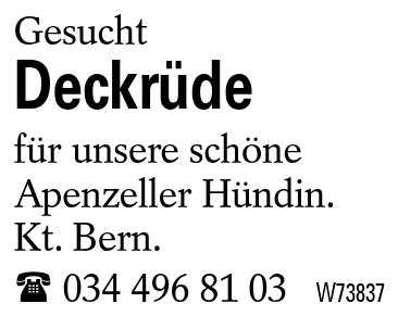Deckrüde