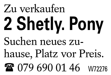2 Shetly. Pony