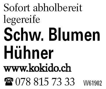 Schw. Blumen Hühner