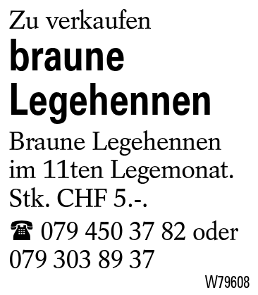 braune Legehennen