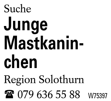 Junge Mastkaninchen