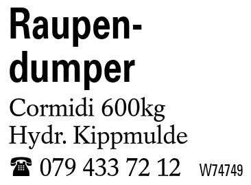 Raupen-dumper