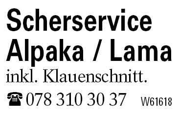 Scherservice Alpaka / Lama