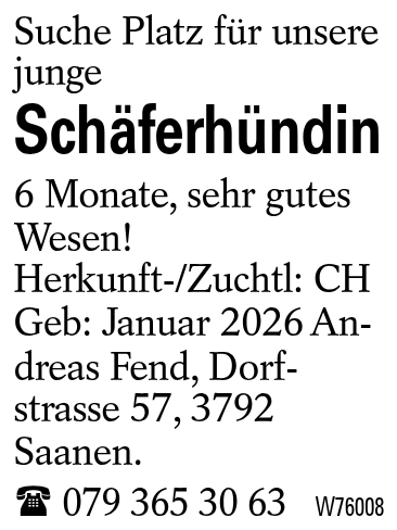 Schäferhündin
