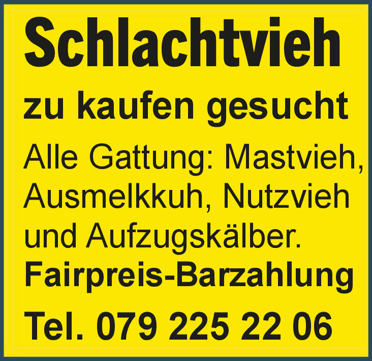 Schlachtvieh
