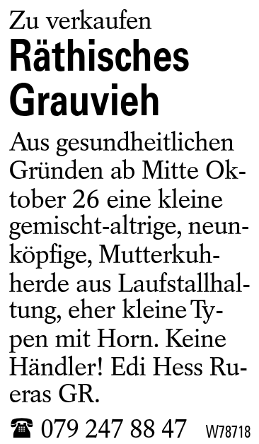 Räthisches Grauvieh