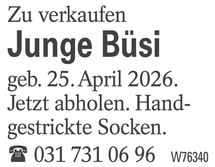 Junge Büsi