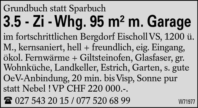 3.5 - Zi - Whg. 95 m² m. Garage